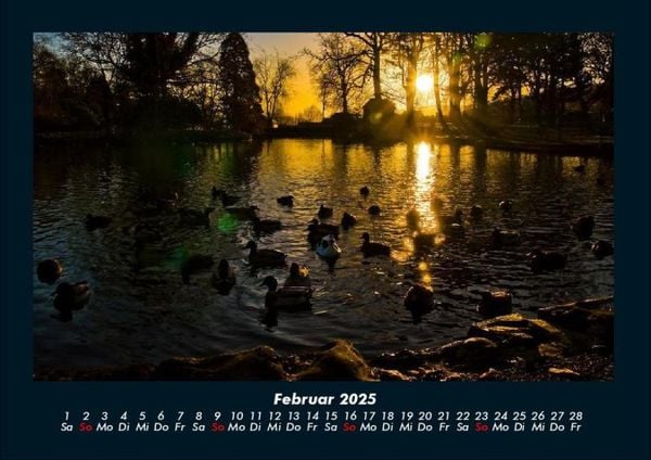 Produktbild: Bilder aus der Natur 2025 Fotokalender DIN A4