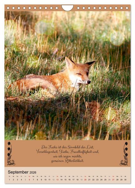 Produktbild: Buntes Tierleben (Wandkalender 2026 DIN A4 hoch), CALVENDO Monatskalender