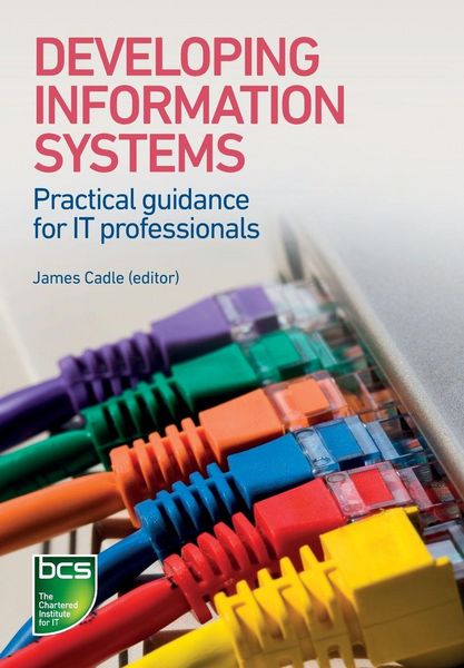 Produktbild: Developing Information Systems