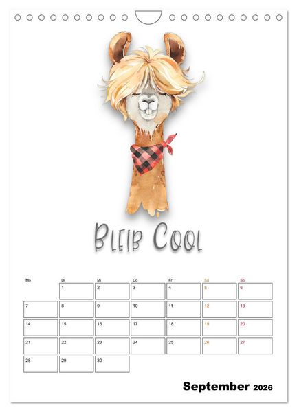 Produktbild: Bleib cool - Gute-Laune-Kalender (Wandkalender 2026 DIN A4 hoch), CALVENDO Monatskalender