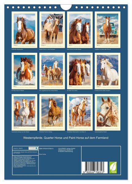 Produktbild: Westernpferde. Quarter Horse und Paint Horse auf dem Farmland (Wandkalender 2027 DIN A4 hoch), CALVENDO Monatskalender