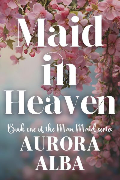 Produktbild: Maid in Heaven