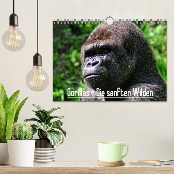 Produktbild: Gorillas - Die sanften Wilden (Wandkalender 2026 DIN A4 quer), CALVENDO Monatskalender