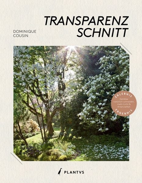 Produktbild: Transparenzschnitt