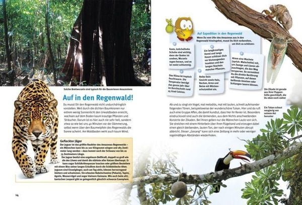 Produktbild: Entdecke den Amazonas-Regenwald