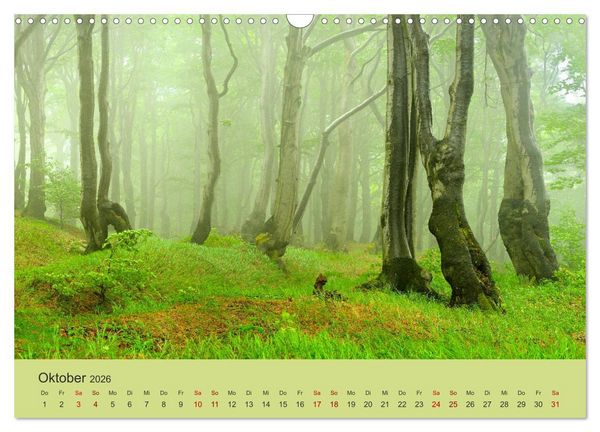 Produktbild: Das Erzgebirge Welterbe und Natur (Wandkalender 2026 DIN A3 quer), CALVENDO Monatskalender