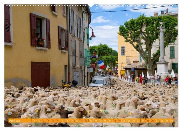 Produktbild: Discover the Beauty of Provence (Wall Calendar 2026 DIN A2 landscape), CALVENDO 12 Month Wall Calendar