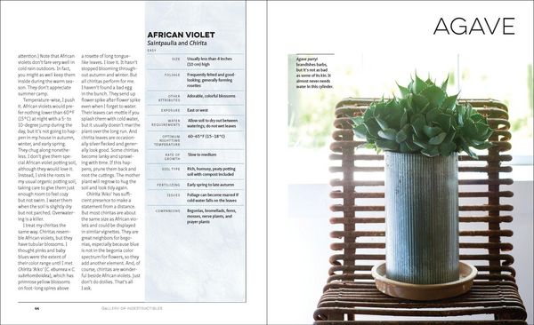 Produktbild: The Unexpected Houseplant