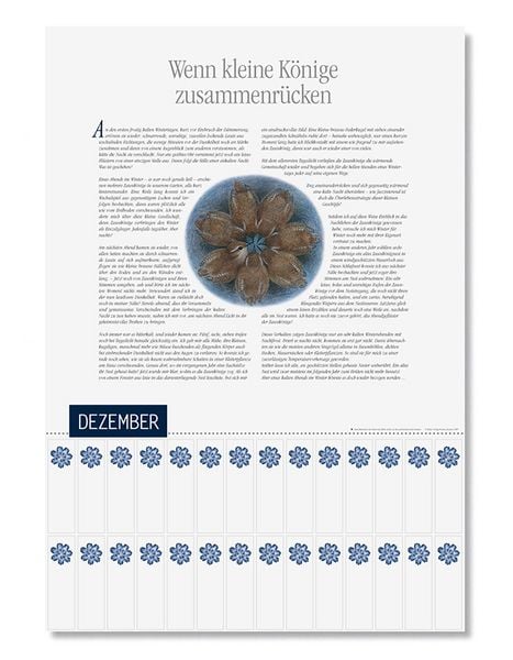 Produktbild: Natur erleben durch das Jahr - 1
