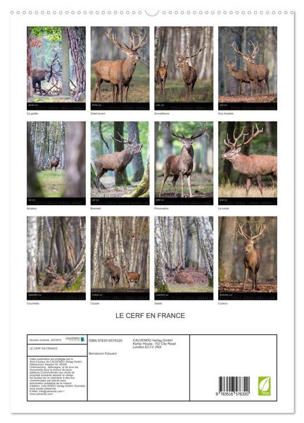 Produktbild: LE CERF EN FRANCE (Calendrier mural 2026 DIN A2 horizontal) calendrier de bureau