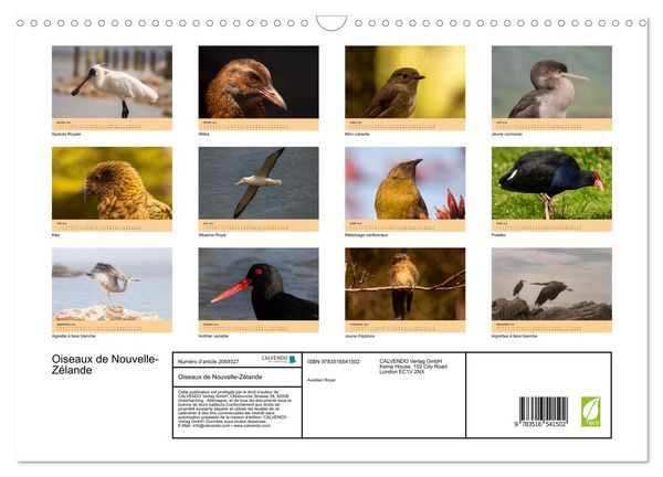 Produktbild: Oiseaux de Nouvelle-Z&eacute;lande (Calendrier mural 2026 DIN A3 vertical), CALVENDO calendrier mensuel