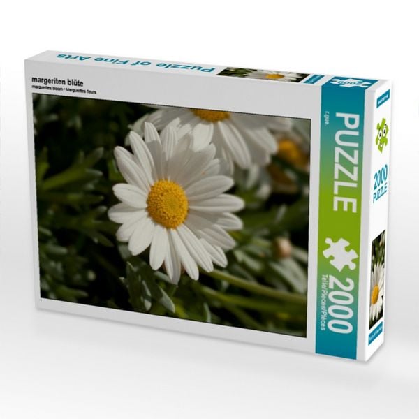 CALVENDO Puzzle margeriten blüte | 2000 Teile Lege-Größe 90x67cm Foto-Puzzle für glückliche Stunden