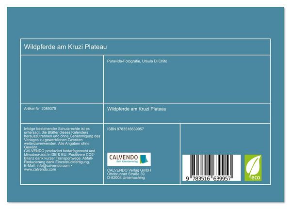 Produktbild: Wildpferde am Kruzi Plateau (Tischkalender 2026 DIN A5 quer), CALVENDO Monatskalender
