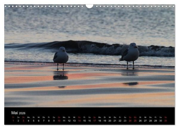 Produktbild: Sylt 2026 (Wandkalender 2026 DIN A3 quer), CALVENDO Monatskalender