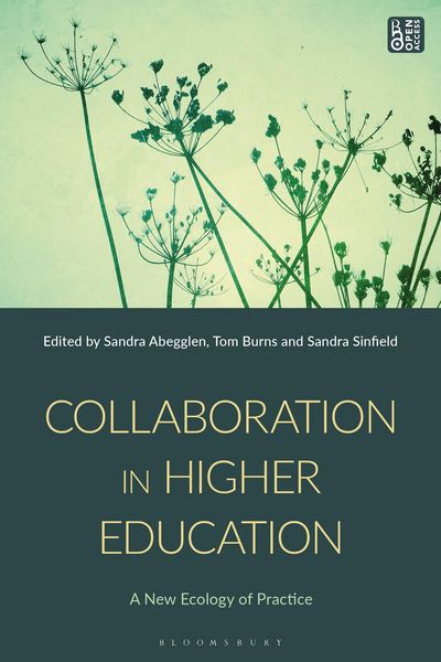 Produktbild: Collaboration in Higher Education