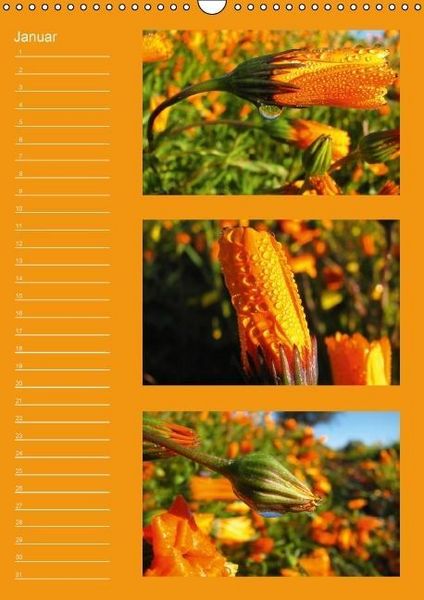 Produktbild: Zauberwelt der Blumen - Eiskristalle & Wasserperlen / Geburtstagskalender (Wandkalender immerw&auml;hrend DIN A3 hoch)