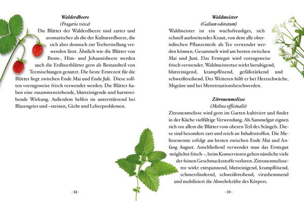 Produktbild: Das kleine Buch: Teegenuss aus Fr&uuml;chten, Bl&uuml;ten und Bl&auml;ttern