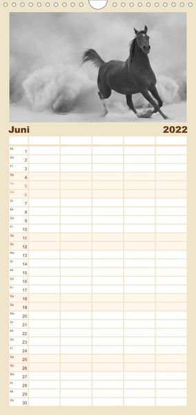 Produktbild: Familienplaner Arabische Pferde (Wandkalender 2022 , 21 cm x 45 cm, hoch)