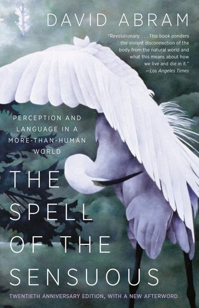 Produktbild: The Spell of the Sensuous