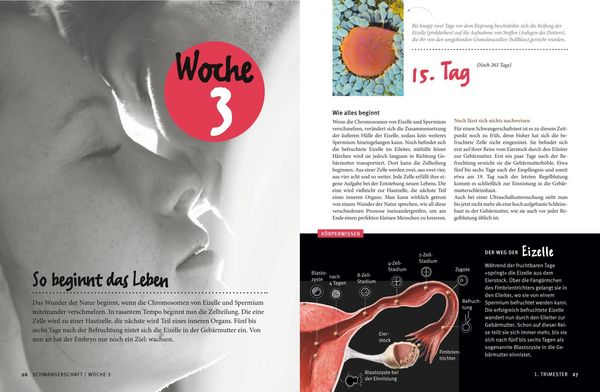 Produktbild: Meine Schwangerschaft