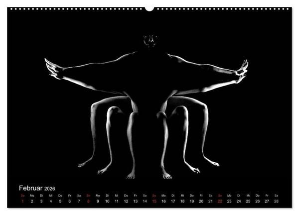 Produktbild: Kunstakt (Wandkalender 2026 DIN A2 quer), CALVENDO Monatskalender