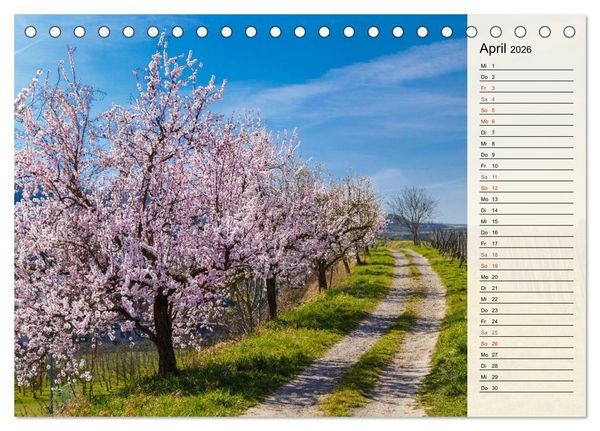 Produktbild: Auf Schusters Rappen... S&uuml;dlicher Oberrhein und S&uuml;dschwarzwald (Tischkalender 2026 DIN A5 quer), CALVENDO Monatskalender