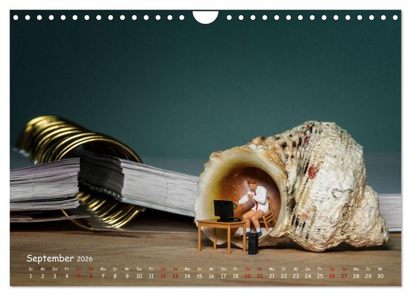 Produktbild: Volltreffer! (Wandkalender 2026 DIN A4 quer), CALVENDO Monatskalender