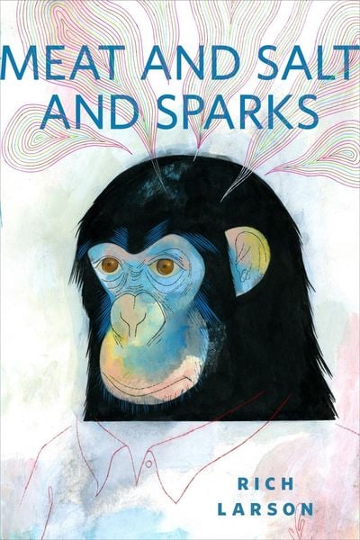 Produktbild: Meat And Salt And Sparks