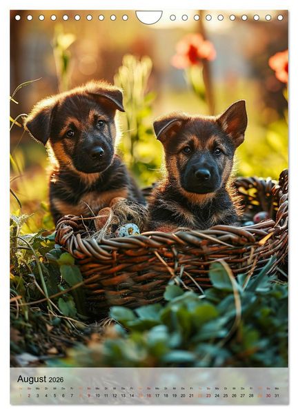 Produktbild: Deutscher Sch&auml;ferhund - mutig und zuverl&auml;ssig (Wandkalender 2026 DIN A4 hoch), CALVENDO Monatskalender