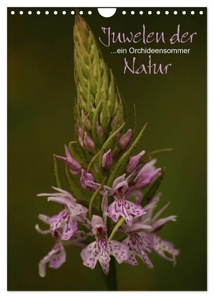 Produktbild: Juwelen der Natur - Ein Orchideensommer (Wandkalender 2026 DIN A4 hoch), CALVENDO Monatskalender