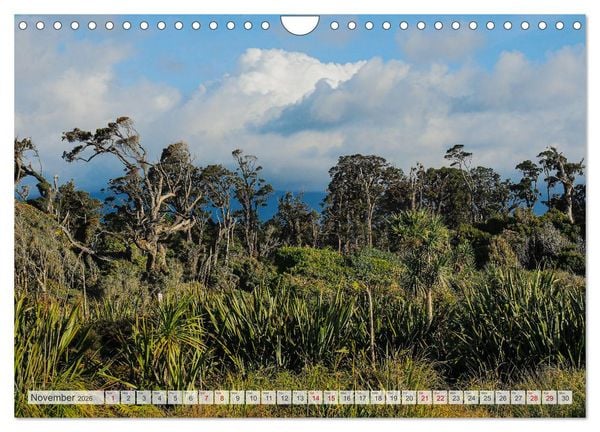 Produktbild: Breathtaking New Zealand (Wall Calendar 2026 DIN A4 landscape), CALVENDO 12 Month Wall Calendar