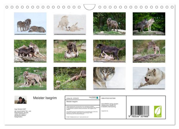 Produktbild: Meister Isegrim (Wandkalender 2026 DIN A4 quer), CALVENDO Monatskalender