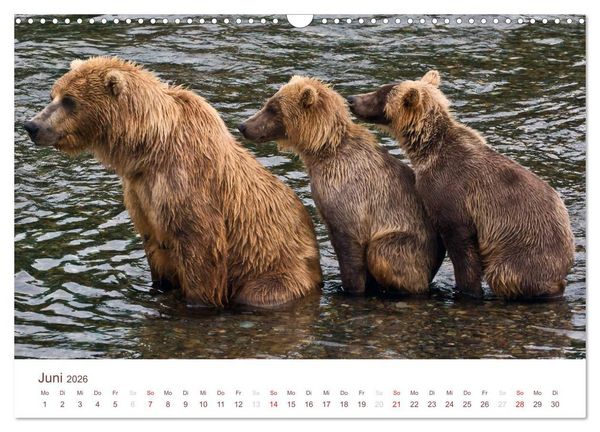 Produktbild: Der Alaska Kalender CH-Version (Wandkalender 2026 DIN A3 quer), CALVENDO Monatskalender