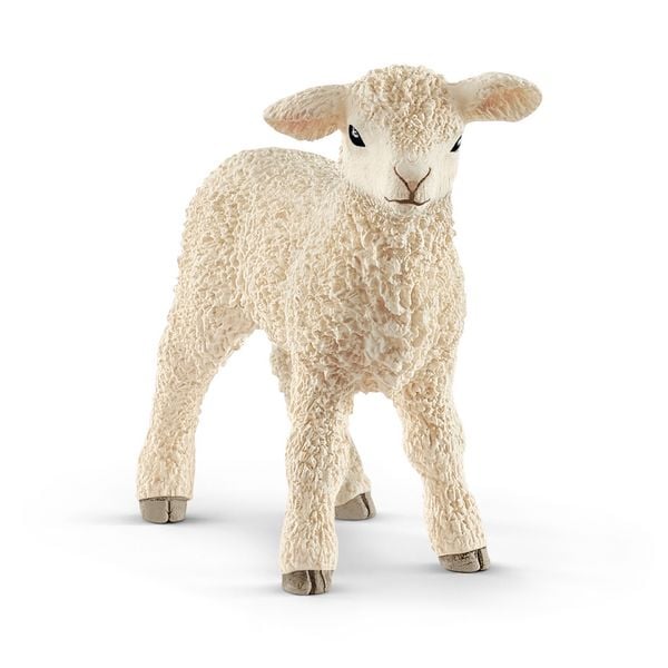 Produktbild: schleich&reg; 13883 Lamm