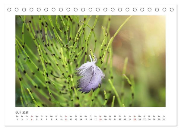 Produktbild: Naturkunstwerke (Tischkalender 2027 DIN A5 quer), CALVENDO Monatskalender