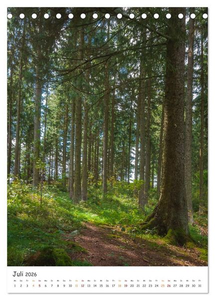 Produktbild: B&auml;ume im Harz (Tischkalender 2026 DIN A5 hoch), CALVENDO Monatskalender