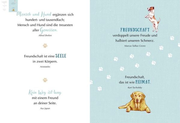 Produktbild: WAU! - Freunde f&uuml;rs Leben