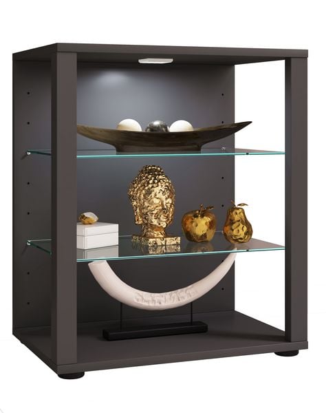 Produktbild: Holz Glas Stand Vitrine Sammelvitrine Glasol L