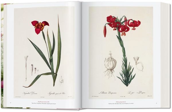 Produktbild: Redout&eacute;. The Book of Flowers