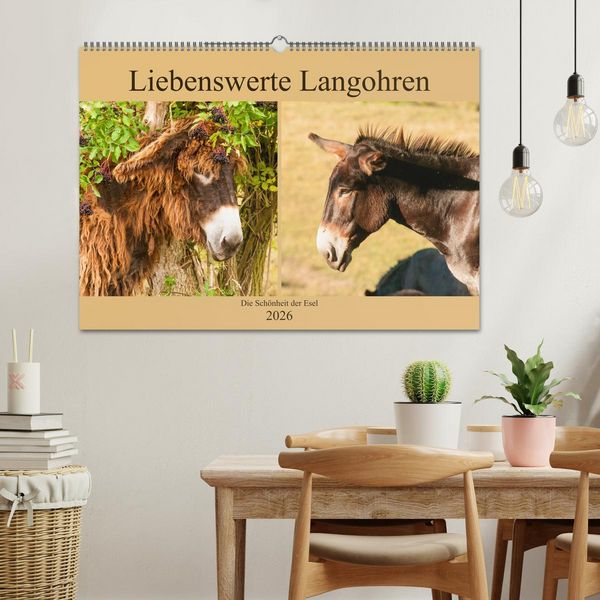 Produktbild: Liebenswerte Langohren - Die Sch&ouml;nheit der Esel (Wandkalender 2026 DIN A2 quer), CALVENDO Monatskalender
