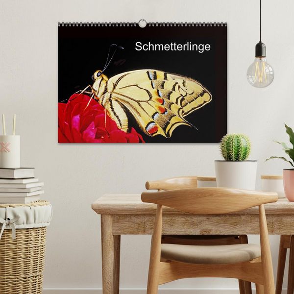 Produktbild: Schmetterlinge (Wandkalender 2026 DIN A3 quer), CALVENDO Monatskalender
