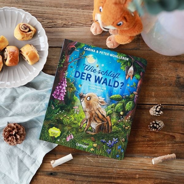 Produktbild: Wie schläft der Wald?