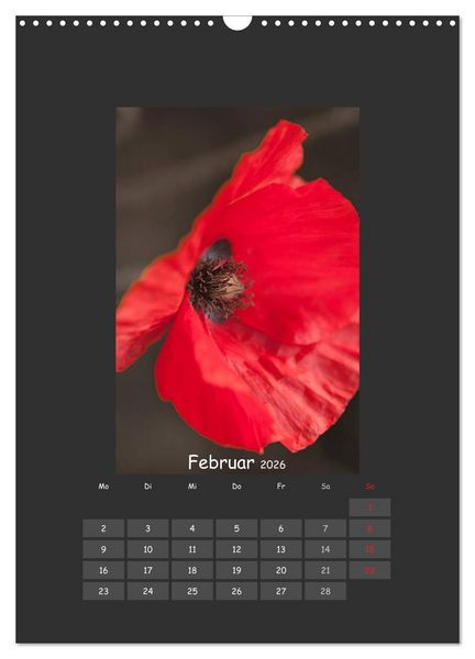 Produktbild: Mohn (Wandkalender 2026 DIN A3 hoch), CALVENDO Monatskalender