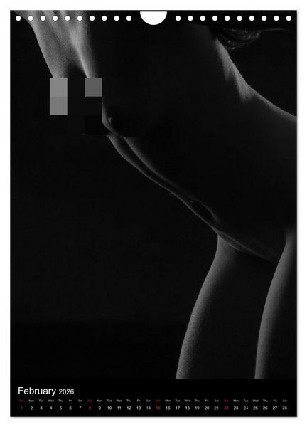 Produktbild: Erotic Silhouettes / UK-Version (Wall Calendar 2026 DIN A4 portrait), CALVENDO 12 Month Wall Calendar
