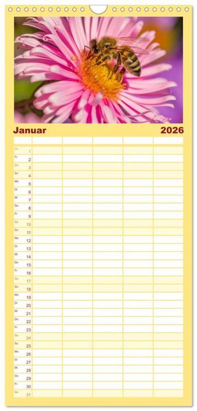 Produktbild: Familienplaner 2026 - Bienenkalender mit 5 Spalten (Wandkalender, 21 x 45 cm) CALVENDO