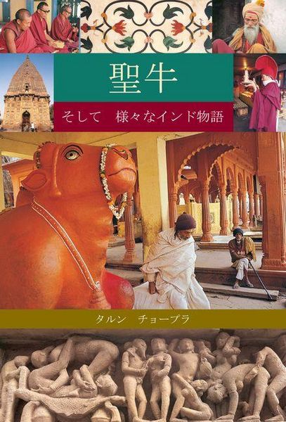 Produktbild: The Holy Cow & Other Indian Stories