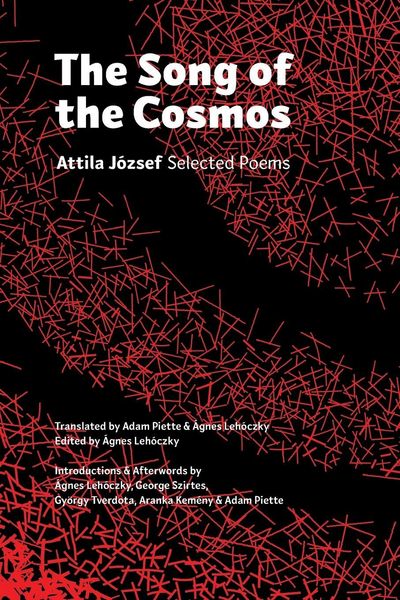 Produktbild: The Song of the Cosmos