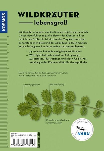 Produktbild: Wildkr&auml;uter am Blatt erkennen