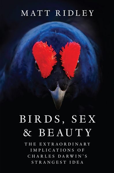 Produktbild: Birds, Sex and Beauty