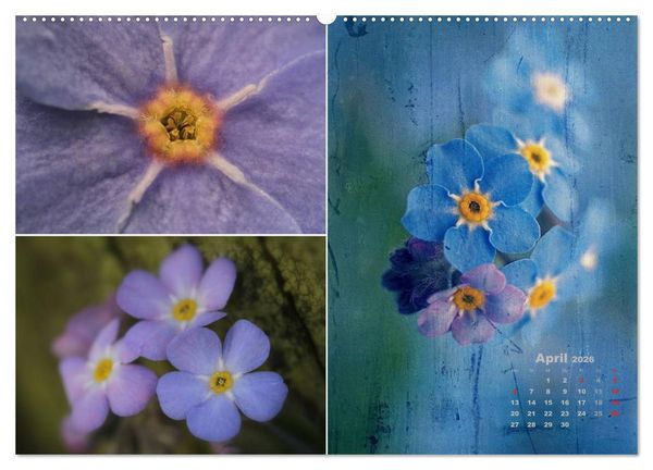 Produktbild: Blumenreise 2026 (Wandkalender 2026 DIN A2 quer), CALVENDO Monatskalender
